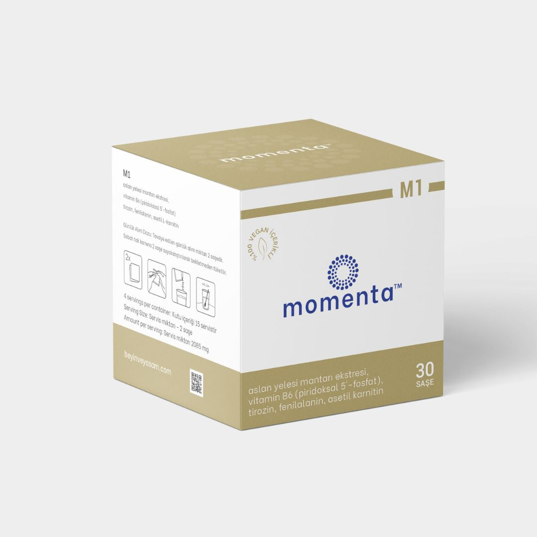 Momenta M1 | Aslan Yelesi Mantarı, N-Asetil Tirozin, L-Karnitin | Nörotransmitter İşlevini Destekleyen Kompleks