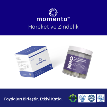 Kesintisiz Odak Paketi︱Zihinsel Enerji ve Sürdürülebilir Odak İçin Enerji Metabolizması Desteği ile Nootropik Altyapıyı Bir Araya Getiren Kombinasyon.